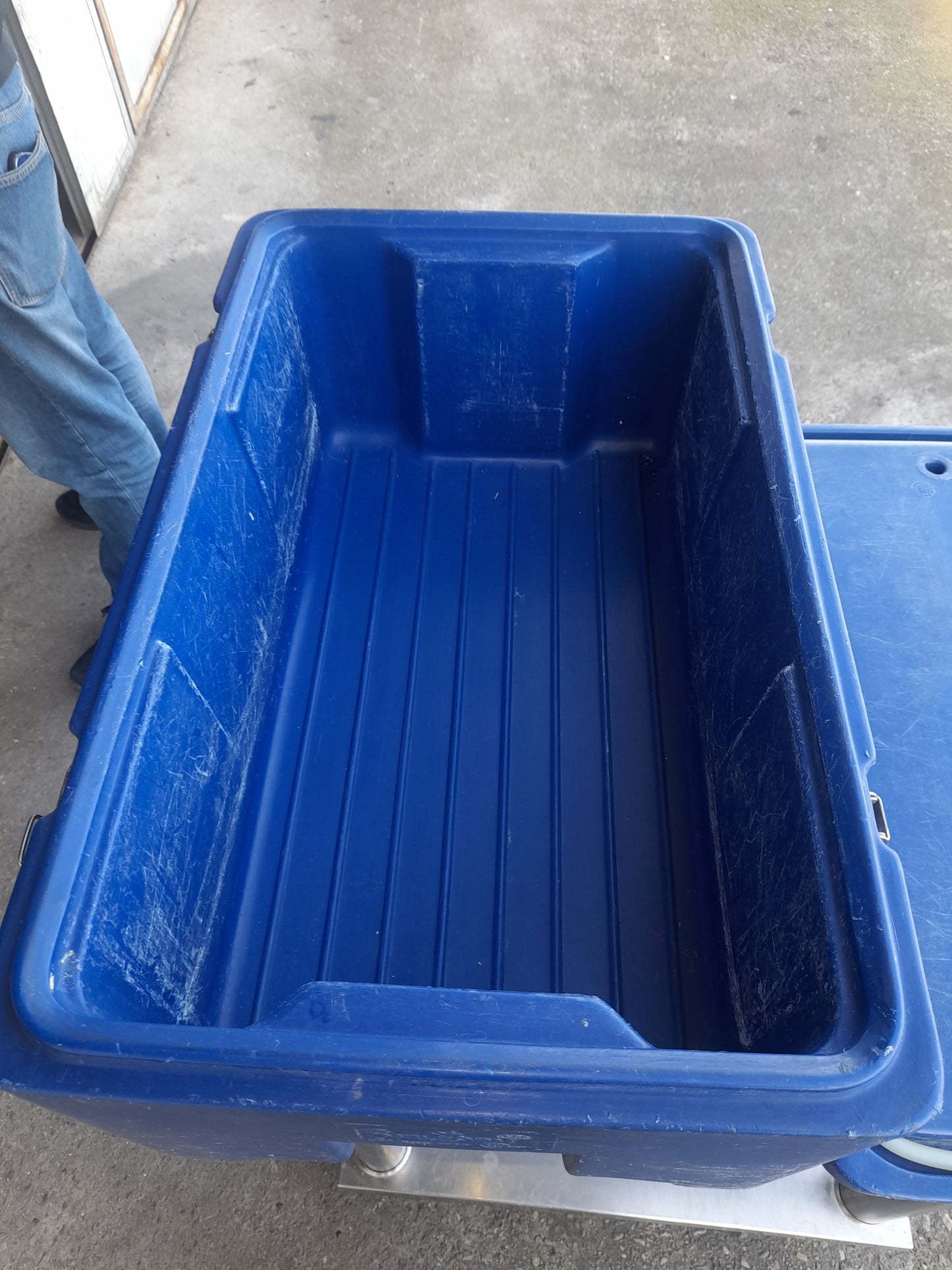 Contenitore isotermico in plastica ABS con coperchio ermetico, L 65 cm; P 40 cm; H 30 cm; 2 colori (blu o grigio), usato per la ristorazione Attrezzatura da ristorazione usata Sd Service Store