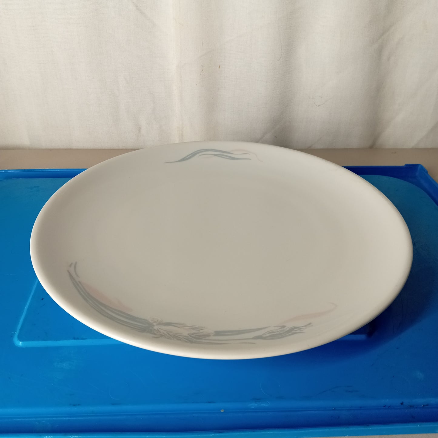 Piatto piano usato in ceramica, diametro 30cm, disponibili colore bianco oppure fantasia a fiori Ristorazione Sd Service Store