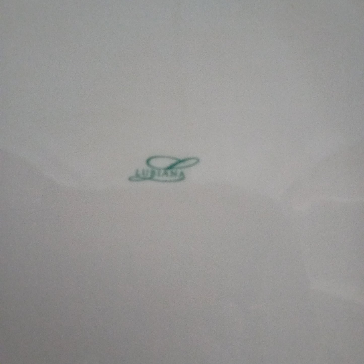 Piatto piano usato in porcellana marca Lubiana 32x32cm Ristorazione Sd Service Store