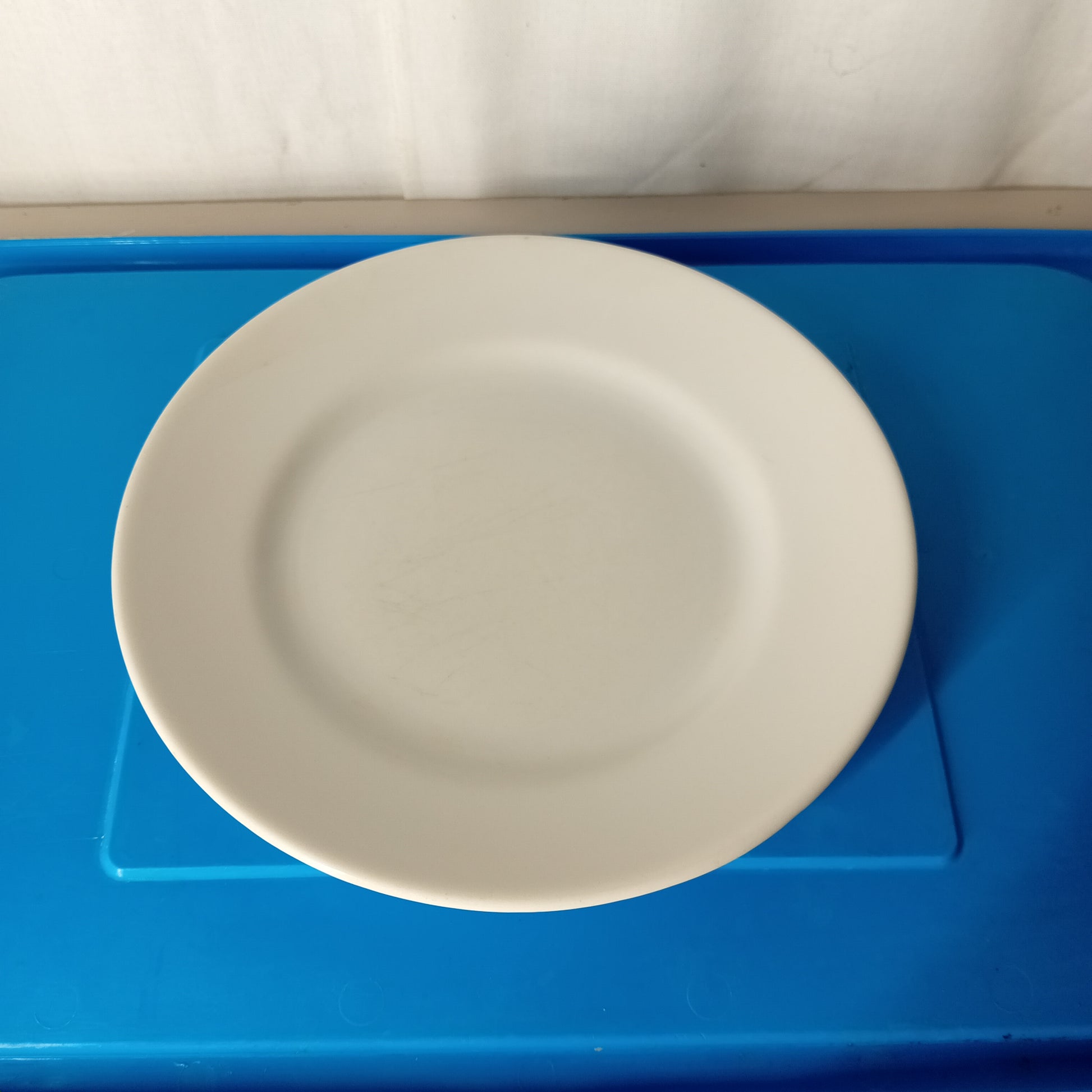 Piatto piano usato in porcellana Saturnia diametro 23cm Ristorazione Sd Service Store