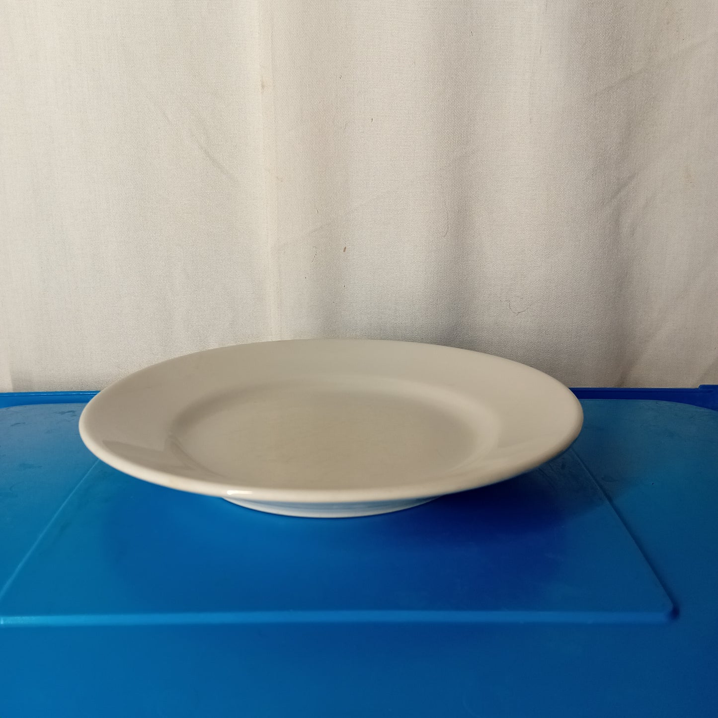 Piatto piano usato in porcellana Saturnia diametro 23cm Ristorazione Sd Service Store