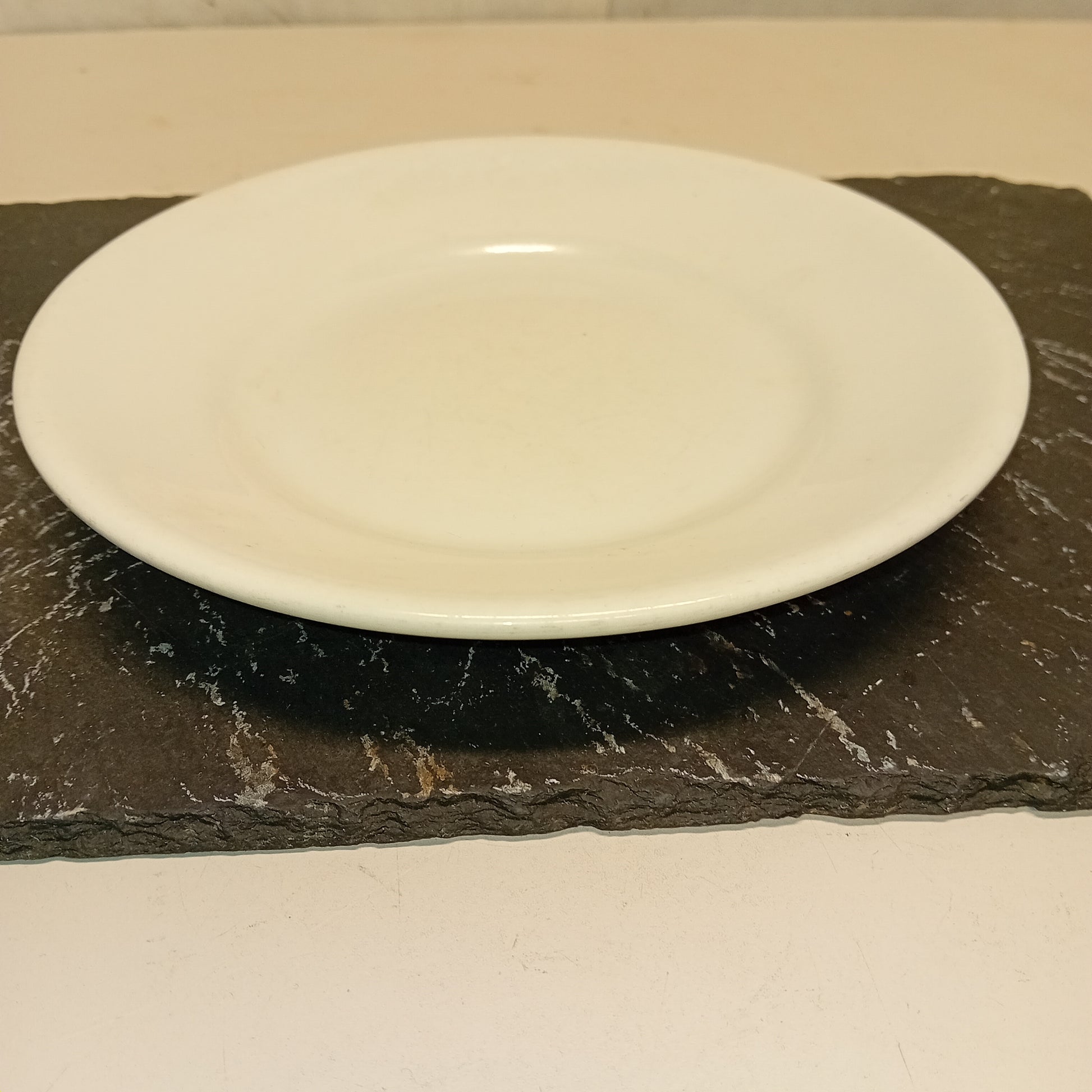 Piatti piani in porcellana, diametro 20cm, marca Saturnia,usati per la ristorazione Attrezzatura da ristorazione usata Sd Service Store