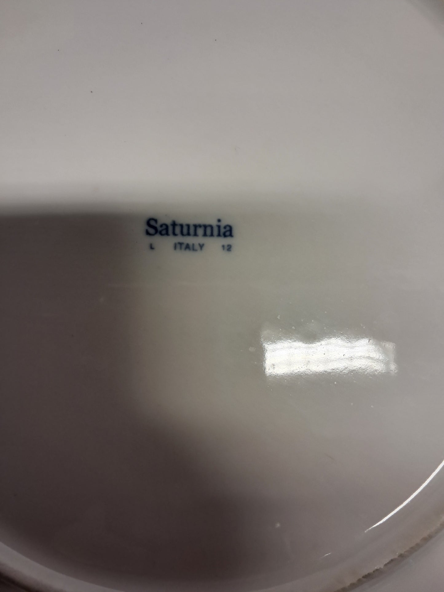 Piatti piani, in porcellana, marca Saturnia, diametro 28cm,usati per la risorazione Attrezzatura da ristorazione usata Sd Service Store