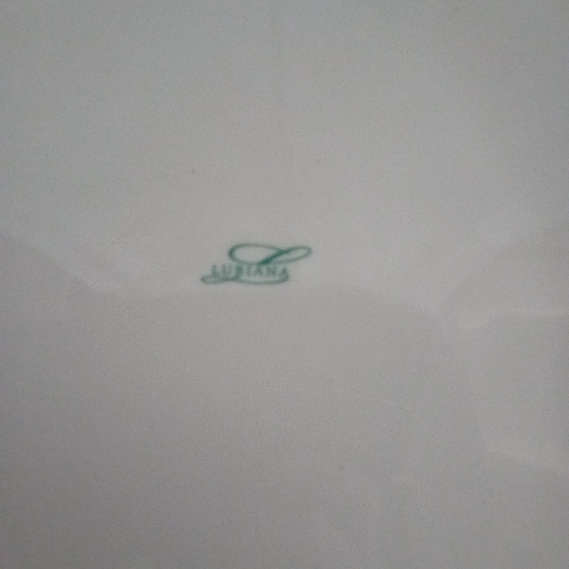 Piatto piano usato in porcellana marca Lubiana 32x32cm Ristorazione Sd Service Store