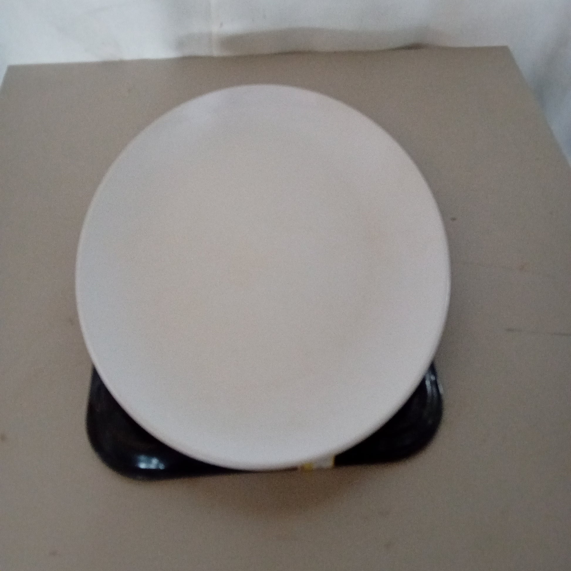 Vassoio in plastica usato 35x46cm idoneo al lavaggio in lavastoviglie Attrezzatura da ristorazione usata Sd Service Store