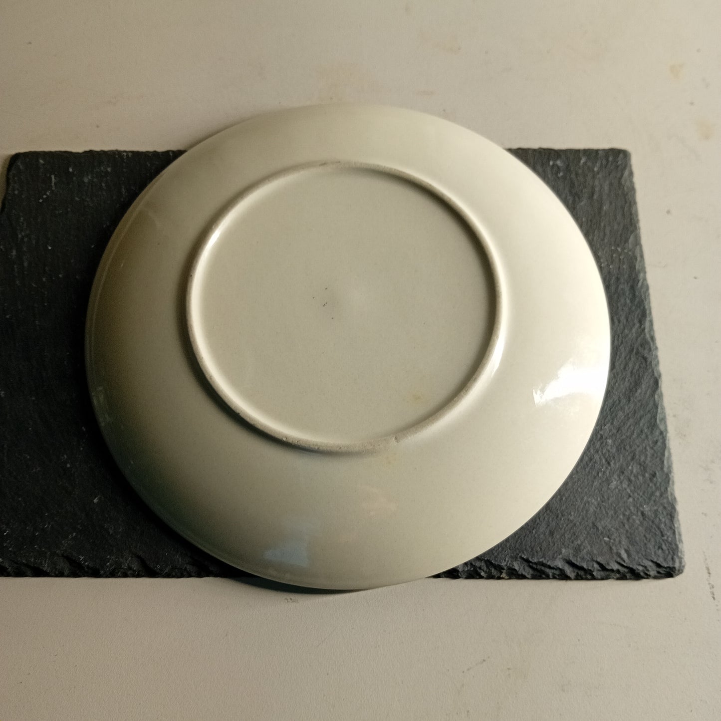 Piatto piano usato in ceramica diametro 23cm Ristorazione Sd Service Store