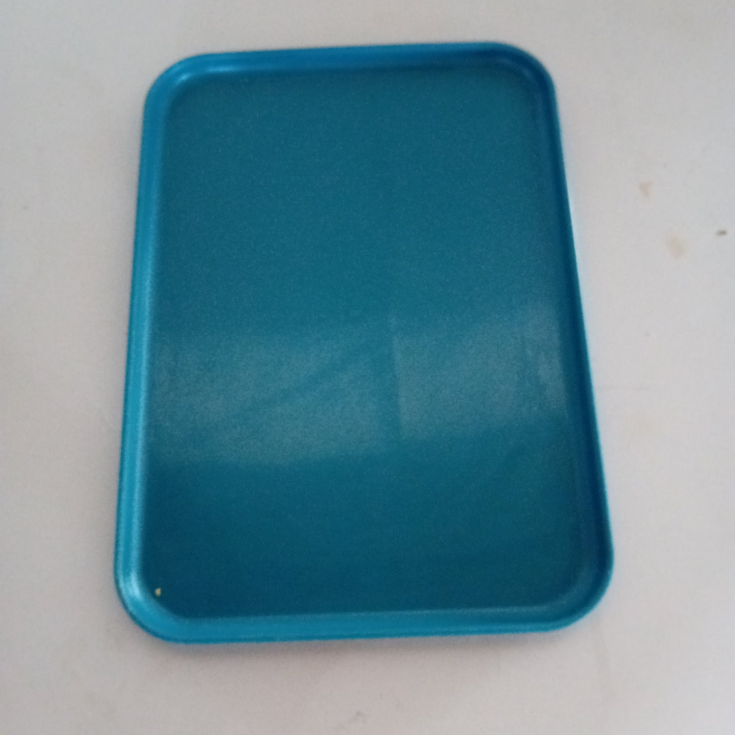 Vassoi in plastica usati 22x31cm Attrezzatura da ristorazione usata Sd Service Store