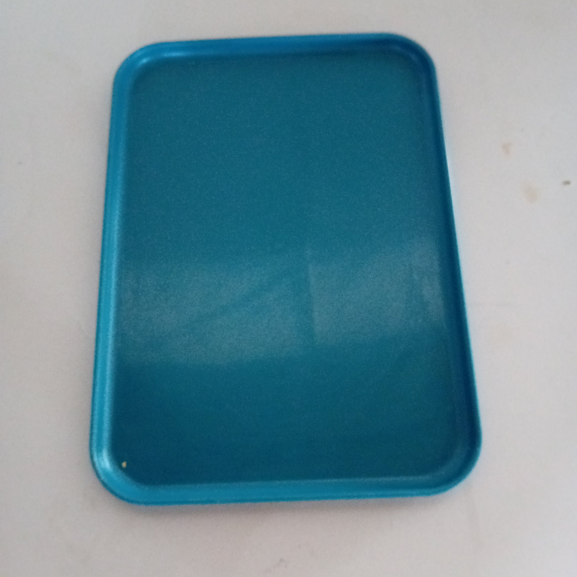 Vassoi in plastica usati 22x31cm Attrezzatura da ristorazione usata Sd Service Store