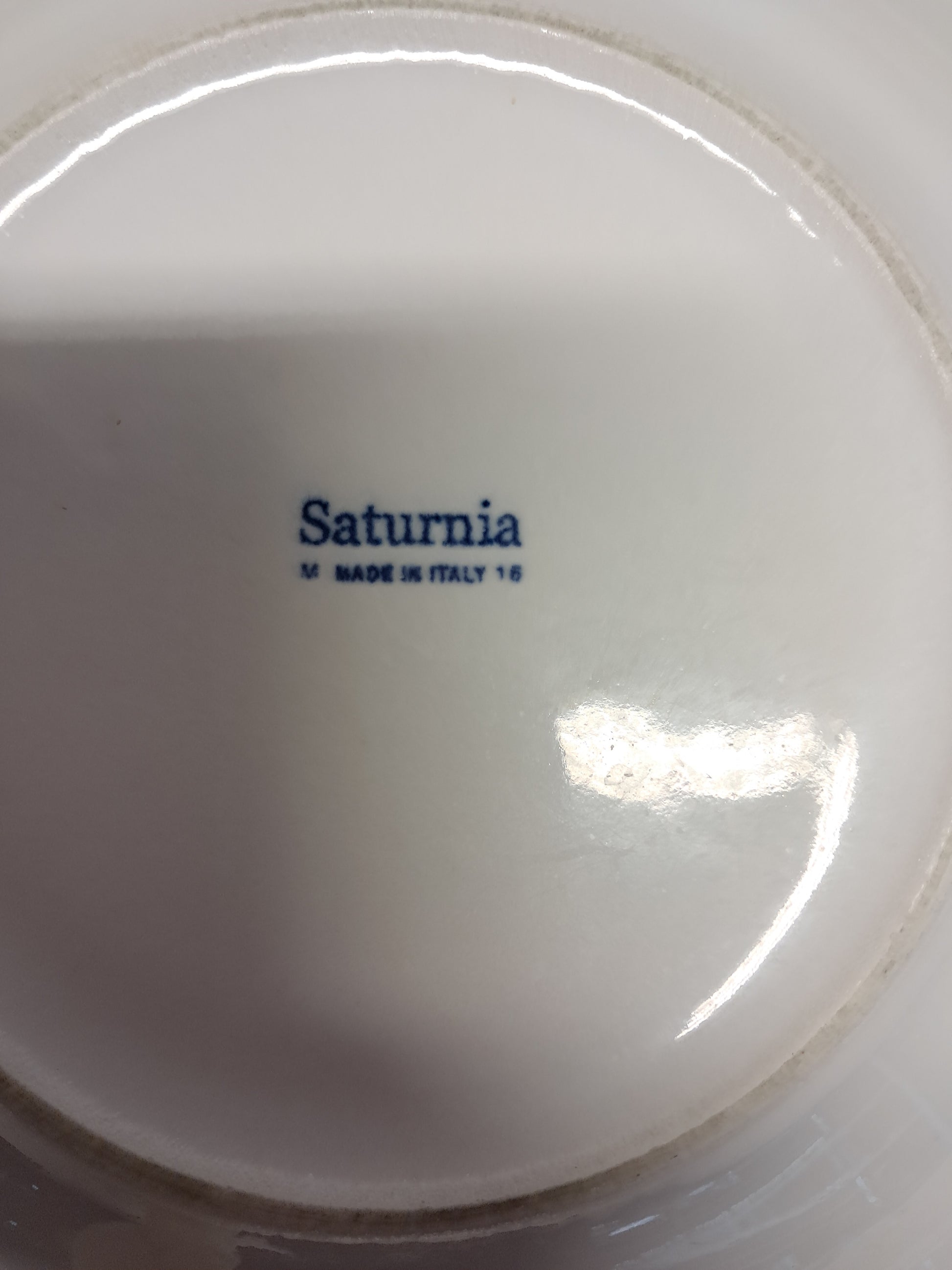 Piatti fondi in porcellana, diametro 30cm, marca Saturnia,usati per la risorazione Attrezzatura da ristorazione usata Sd Service Store