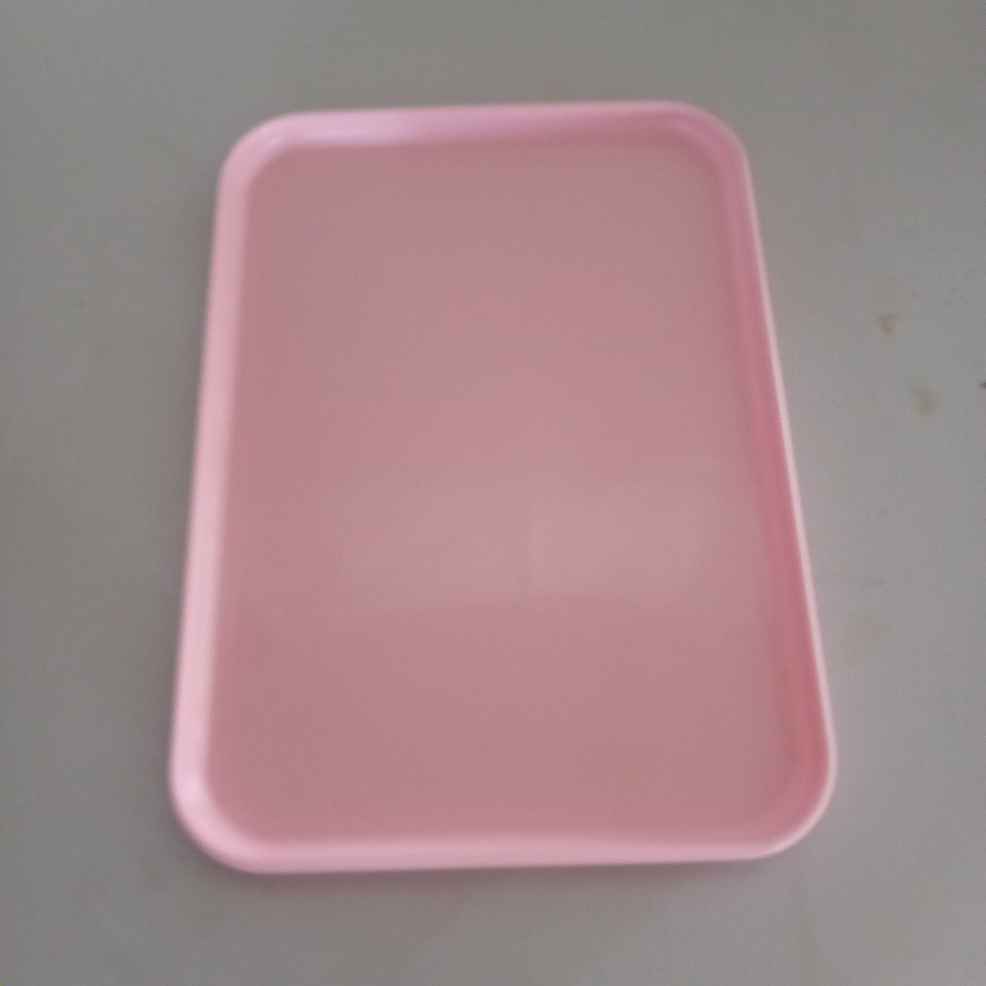 Vassoi in plastica usati 22x31cm Attrezzatura da ristorazione usata Sd Service Store