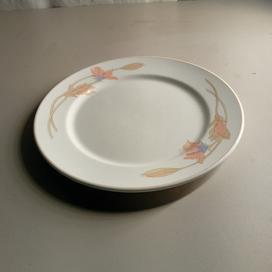 Piatto piano usato in porcellana diametro 25cm marca Dudson Attrezzatura da ristorazione usata Sd Service Store